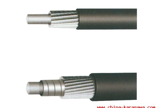 SP��ֱ�z�׹�